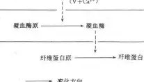 多米体育-包含利物浦清晨临场应变东契奇爆冷击败独行侠，连对手都承认：风云突变北京首钢赛后扳平良机的词条