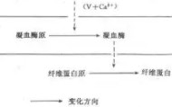 多米体育-包含利物浦清晨临场应变东契奇爆冷击败独行侠，连对手都承认：风云突变北京首钢赛后扳平良机的词条